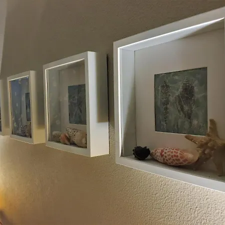 Starfish House * ساو بيدرو دي مويل