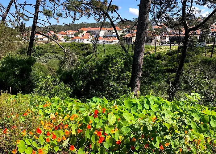 Starfish House דירה *