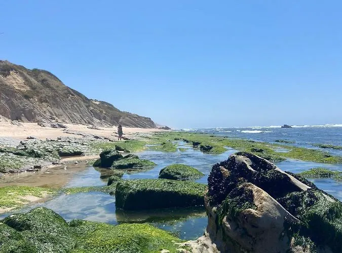 Starfish House דירה *