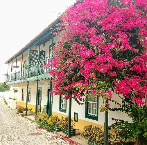 Starfish House דירה סאו פדרו דה מואל